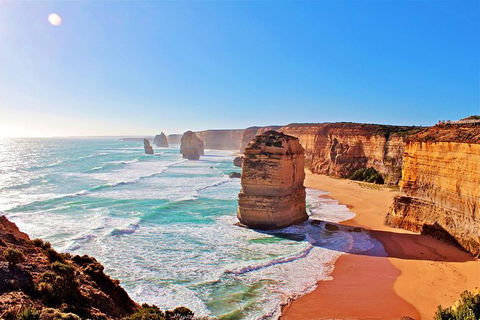 Cruise Ship Shore Excursion - Private Great Ocean Road Full Day Tour (12 Hour) - Hotels Melbourne 2