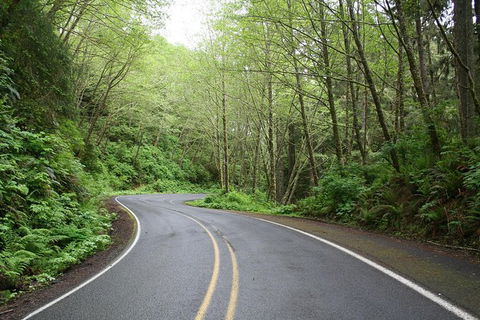 Cruise Ship Shore Excursion - Private Great Ocean Road Full Day Tour (12 Hour) - Hotels Melbourne 1