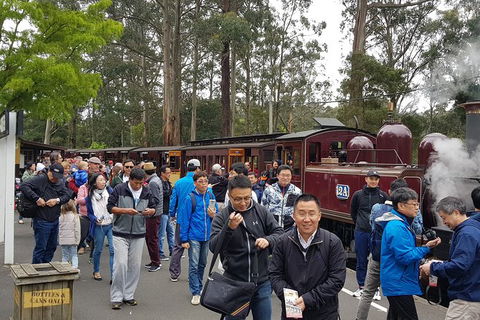 Day Tour Of Yarra Valley Puffing Billy And Rayners Orchard - Hotels Melbourne 3