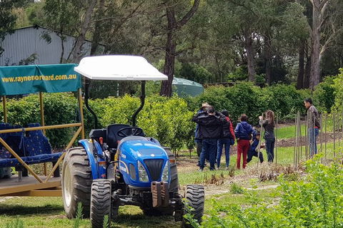 Day Tour Of Yarra Valley Puffing Billy And Rayners Orchard - Hotels Melbourne 10