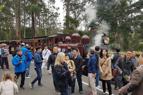 Day Tour Of Yarra Valley Puffing Billy And Rayners Orchard - Hotels Melbourne 18