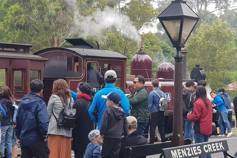 Day Tour Of Yarra Valley Puffing Billy And Rayners Orchard - Hotels Melbourne 40