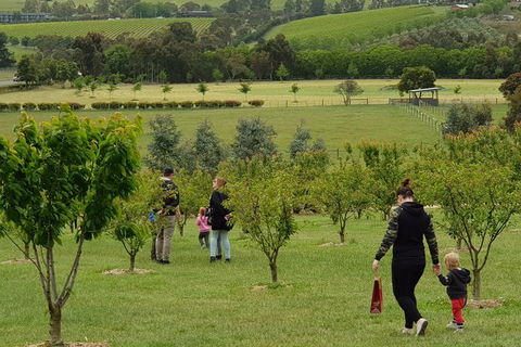 Day Tour Of Yarra Valley Puffing Billy And Rayners Orchard - Hotels Melbourne 36