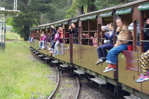 Day Tour Of Yarra Valley Puffing Billy And Rayners Orchard - Hotels Melbourne 13