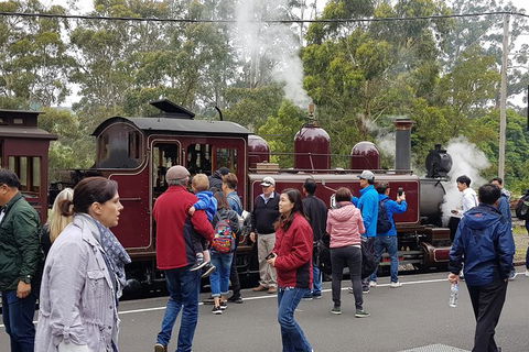 Day Tour Of Yarra Valley Puffing Billy And Rayners Orchard - Hotels Melbourne 4
