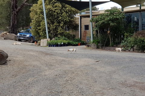 Day Tour Of Yarra Valley Puffing Billy And Rayners Orchard - Hotels Melbourne 26