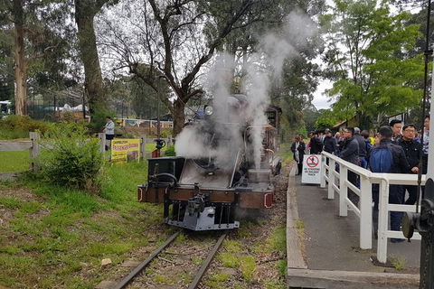 Day Tour Of Yarra Valley Puffing Billy And Rayners Orchard - Hotels Melbourne 43