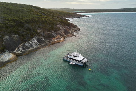 Bremer Canyon Killer Whale (Orca) Expedition - Hotels Melbourne 6