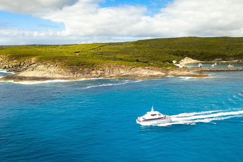 Bremer Canyon Killer Whale (Orca) Expedition - Hotels Melbourne 8