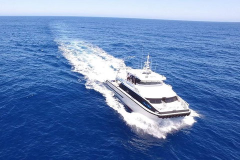 Bremer Canyon Killer Whale (Orca) Expedition - Hotels Melbourne 1