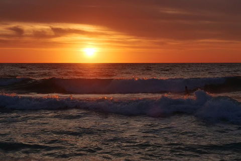 Australian Animals, Seascape And Sunset Photography Tour - Hotels Melbourne 0
