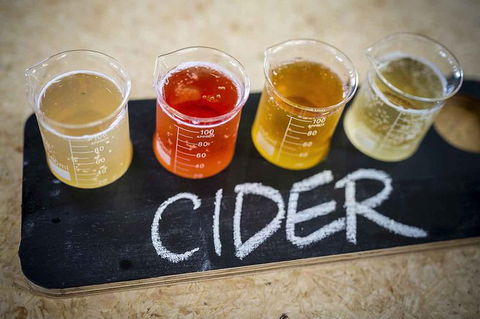 Bickley Valley Wine & Cider Tour - Premium Small Group Tour - Hotels Melbourne 1