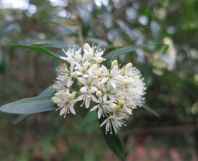 Jervis Bay NSW Hotels Melbourne