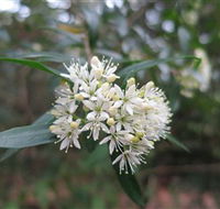 Booderee National Park - Hotels Melbourne