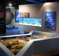 Marine and Freshwater Discovery Centre - Hotels Melbourne
