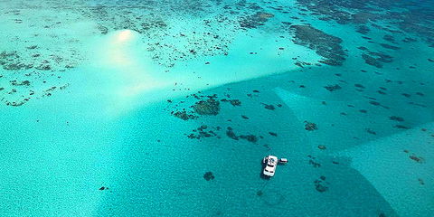 Ocean Free & Ocean Freedom - Cairns Premier Reef And Island Tours - Hotels Melbourne 3