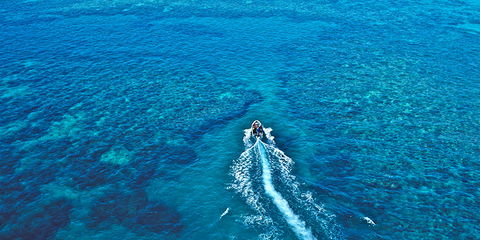 Ocean Free & Ocean Freedom - Cairns Premier Reef And Island Tours - Hotels Melbourne 4