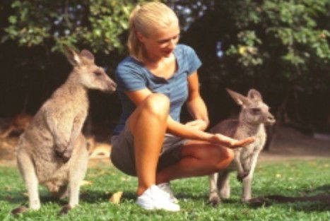 Jungle Tours And Trekking - Hotels Melbourne 1