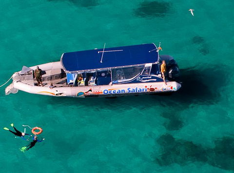 Jungle Tours And Trekking - Hotels Melbourne 5