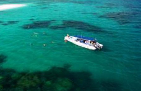 Ocean Safari - Hotels Melbourne 1