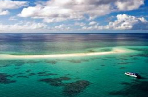 Ocean Safari - Hotels Melbourne 2