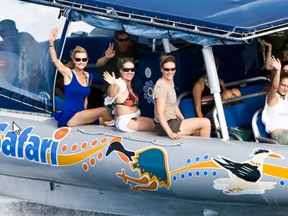 Ocean Safari - Hotels Melbourne 3