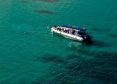 Ocean Safari - Hotels Melbourne 5