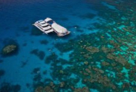 Great Adventures Reef And Green Island Cruises - Hotels Melbourne 0