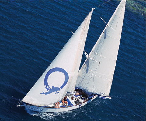 Ocean Free & Ocean Freedom - Cairns Premier Reef And Island Tours - Hotels Melbourne 0