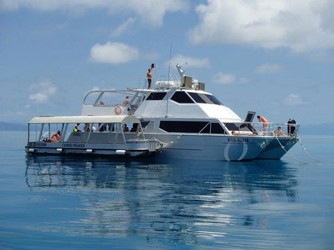 Ocean Free & Ocean Freedom - Cairns Premier Reef And Island Tours - Hotels Melbourne 1