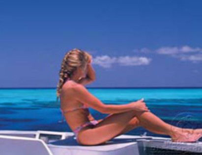 Mike Ball Dive Expeditions - Hotels Melbourne 0