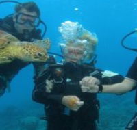 Yardarm Pty Ltd t/a Passions of Paradise - Hotels Melbourne