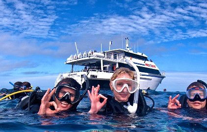 Pro Dive Cairns - Hotels Melbourne 0