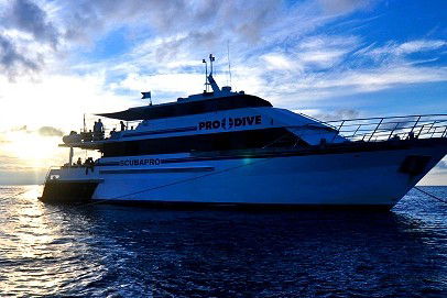 Pro Dive Cairns - Hotels Melbourne 1