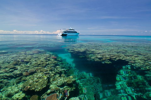 Pro Dive Cairns - Hotels Melbourne 4