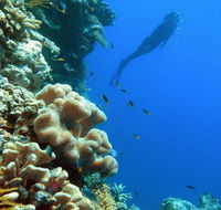 Reef Magic Cruises - Hotels Melbourne