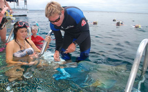 Reef Magic Cruises - Hotels Melbourne 4