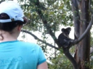 Araucaria Ecotours - Hotels Melbourne 1