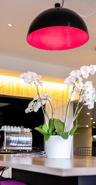 MRepublic Restaurant, Bar And Lounge - Hotels Melbourne 4