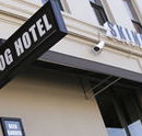 Skinny Dog Hotel - Hotels Melbourne