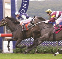 Gosford Race Club - Hotels Melbourne
