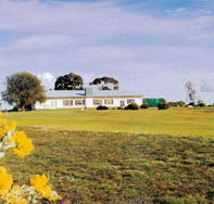 Lucindale Country Club