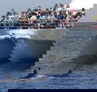 MoonshadowTQC Cruises - Hotels Melbourne