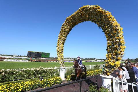 Golden Eagle Day - Hotels Melbourne 2