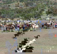 Gresford Agricultural Show - Hotels Melbourne