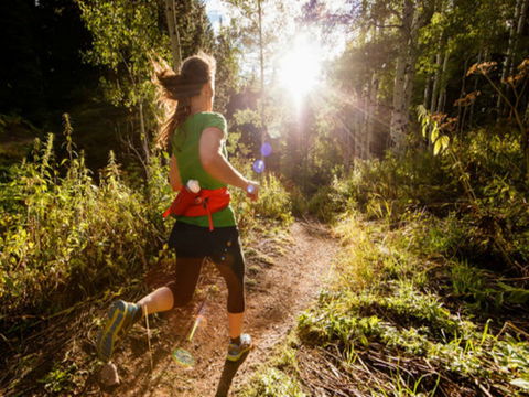Run Dungog - Hotels Melbourne 0