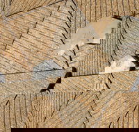 WA Now  Tom Mller Monolith Scores - Virtual Exhibition - Hotels Melbourne