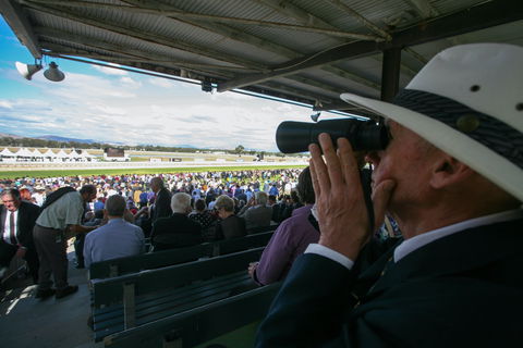 Albury Racing Club Boxing Day Races - Hotels Melbourne 1