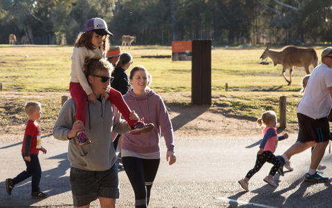 MAAS Group Dubbo Stampede Running Festival - Hotels Melbourne 1