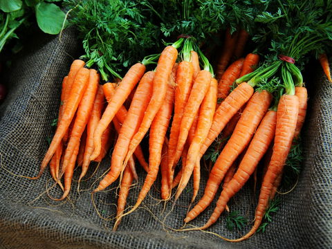 Mudgee Farm Walks - Hotels Melbourne 2
